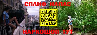 сатива Можга