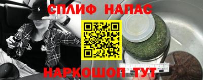 сатива Можга