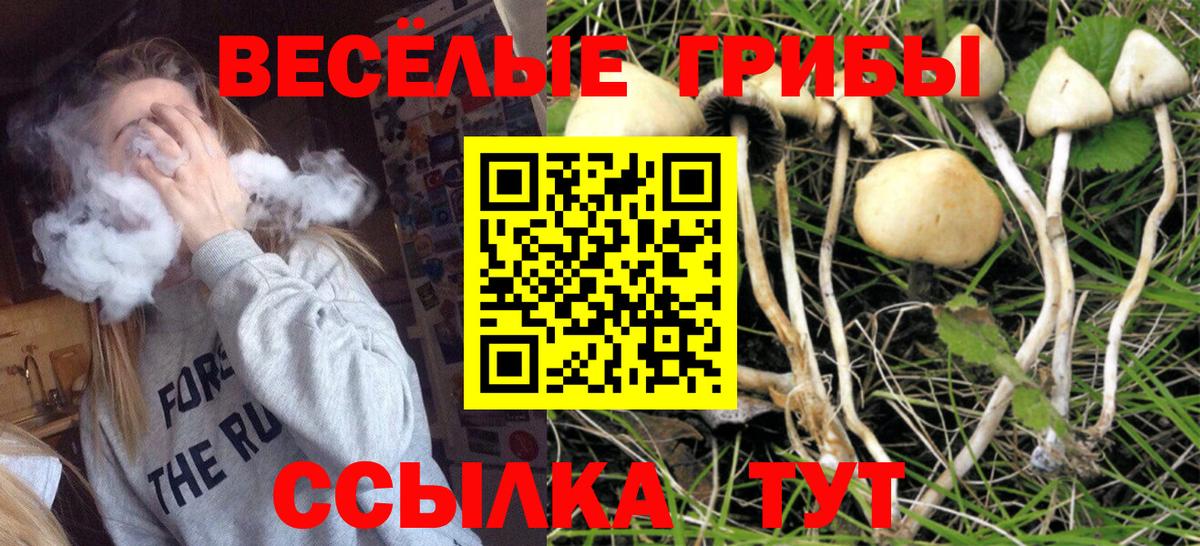 Псилоцибиновые грибы прущие грибы  купить закладку  Зеленодольск  Вход с VPN 
